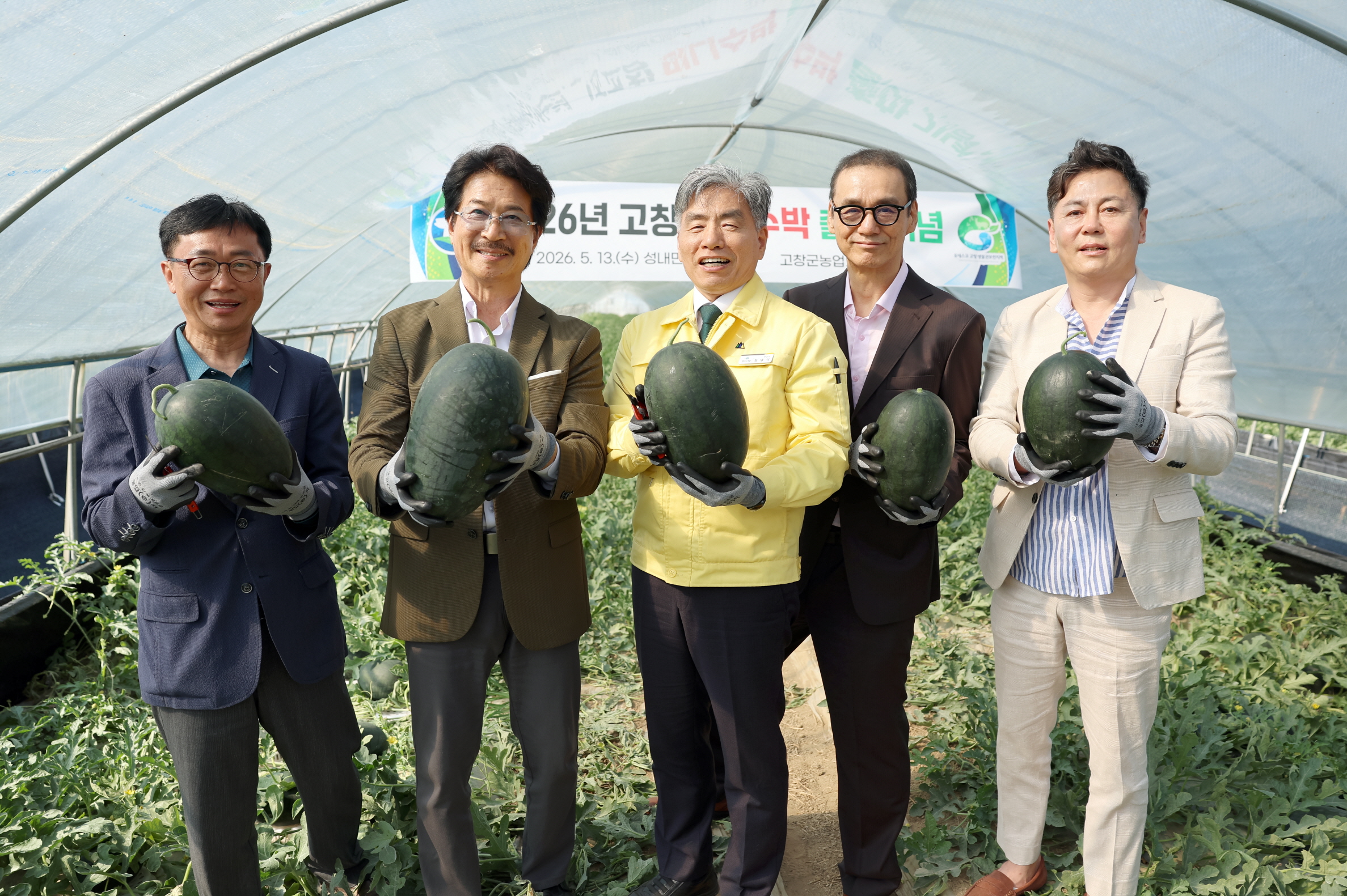 미니수박 출하 시작...“전국 최대규모 미니수박 산지” 2번째 이미지